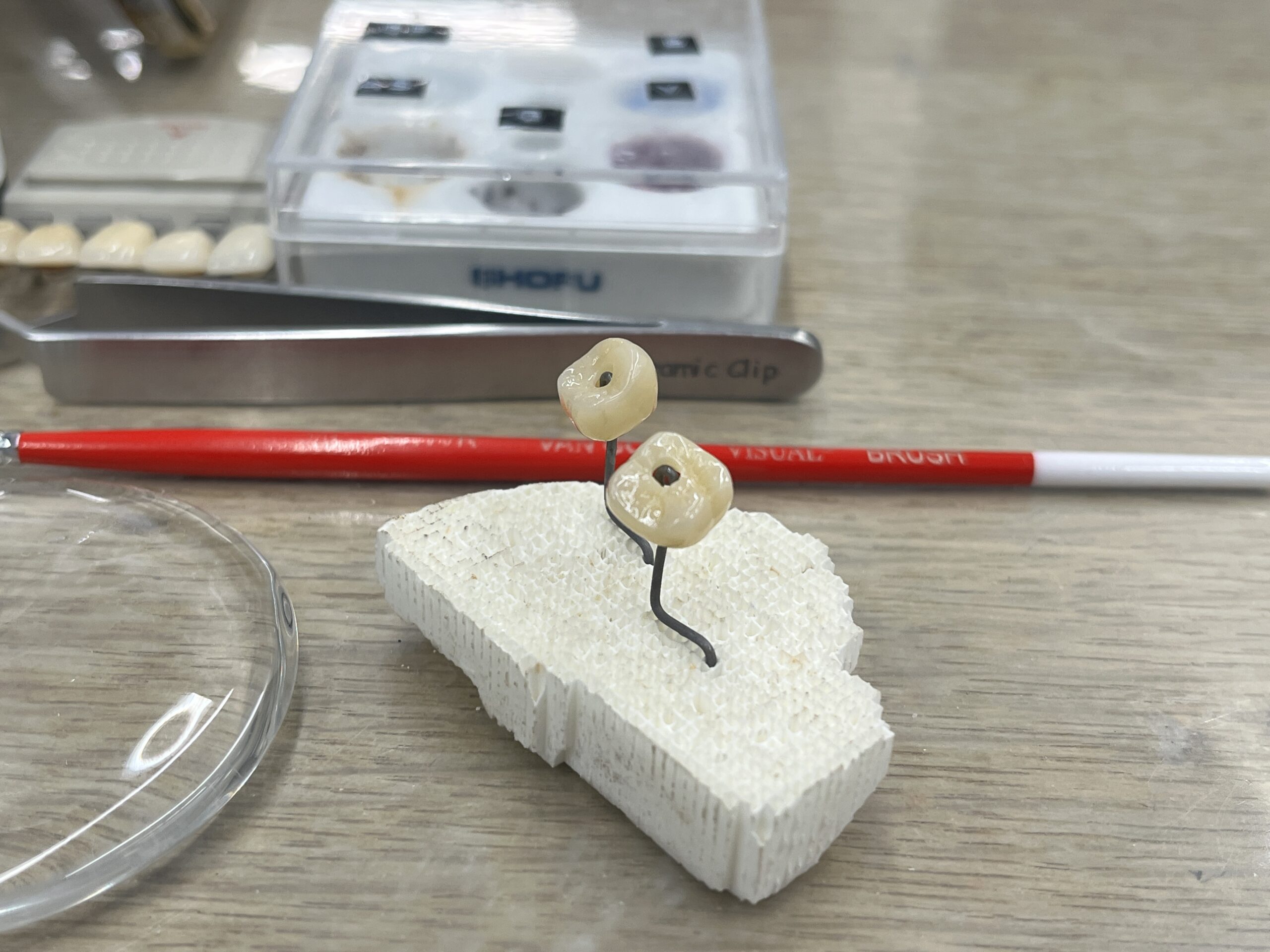 補綴物に色を重ねて精密に仕上げる作業