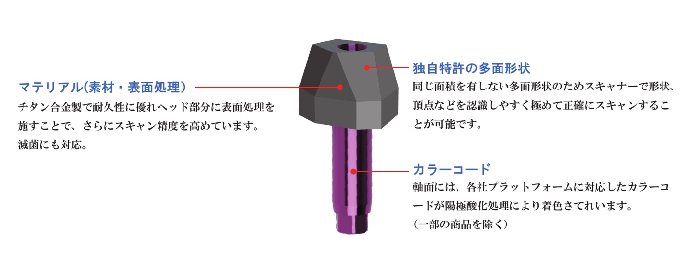 多面形状のスキャンボディ（カタログ）